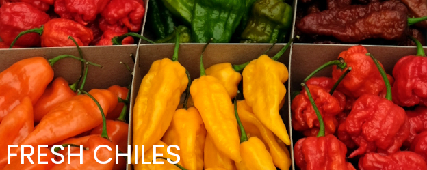 FRESH CHILES